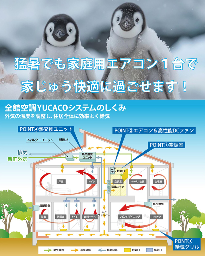 夏用S