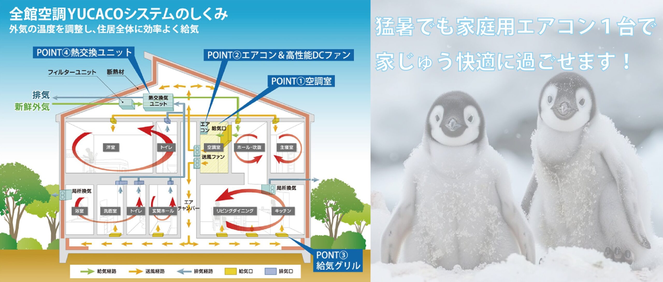 夏用W