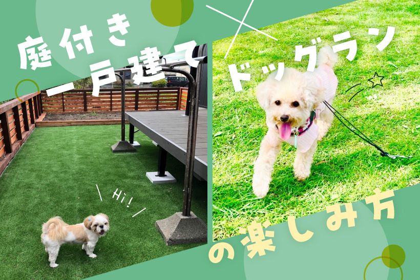 庭付き一戸建て×ドッグランの楽しみ方