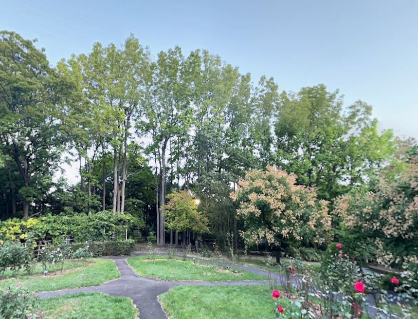 豊平公園まで500ｍ